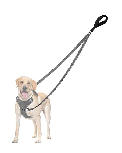 Two Point Control Dog Leash (Grey)