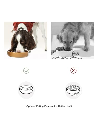 Ceramic Slow Feeder Dog Bowl (Macroni-Ice Blue / Medium)