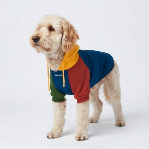 Dog Hoodie Buttery (Primary Color Block / XX-Large)