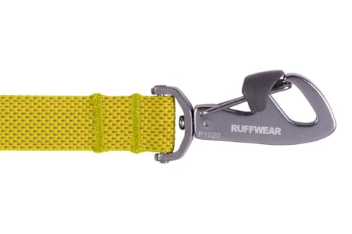Flagline Dog Leash (Lichen Green / One Size)