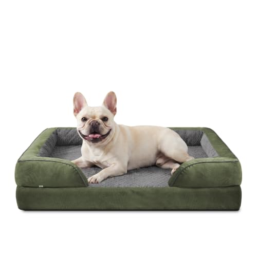 Orthopedic Medium Dog Dogs (M (28"x 23"x 6.5") / Green)