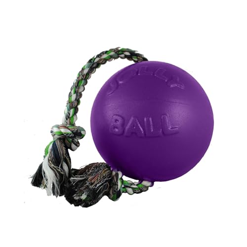 Romp-N-Roll Rope & Ball Dog Toy, 4.5 in Small, Orange (Orange / Small (4.5 in))