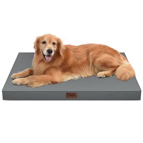 Waterproof Orthopedic Outdoor Dog Bed XL for Extra Large Dogs (Grey / 44.0"L x 32.0"W x 3.5"Th)