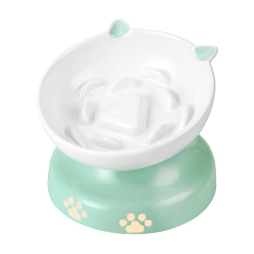 Slow Feeder Cat Bowl (Green)