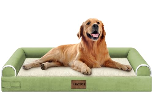 Orthopedic Dog Bed for X (Grass Green / 40.0"L x 32.0"W x 6.5"Th)