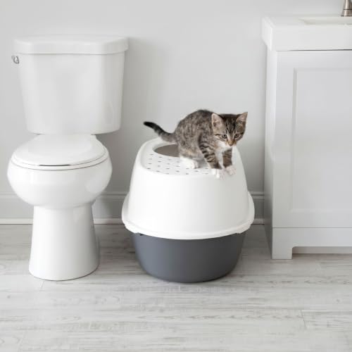 XX Large Top Entry Cat Litter Box (XXL Enclosed / Gray)