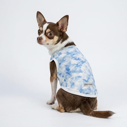 2 Pack Ice Lemon UPF 50+ UV Sun Protection Dog Shirt (Small / Ice & Lemon)