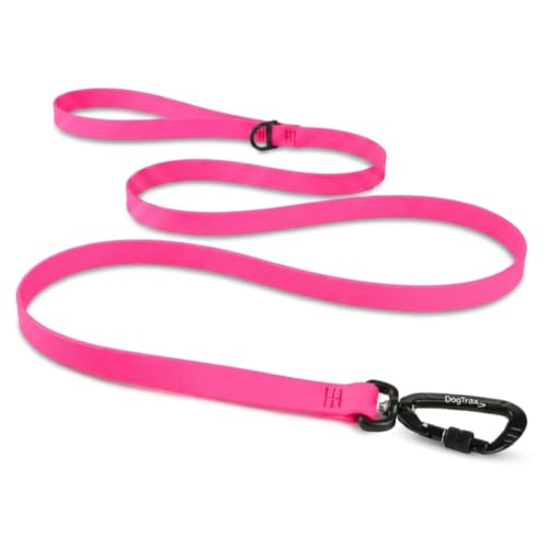 Essential Biothane Dog Leash (Pink / 1 In x 5 Feet)