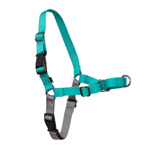 Easy Walk Harness (Medium / Teal/Gray)