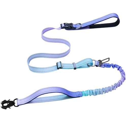 Heavy Duty Hands Free Dog Leash with Quick Release Carabiner and Adjustable No Pull Bungee Dog Running Waist Leash (Aurora Purple)