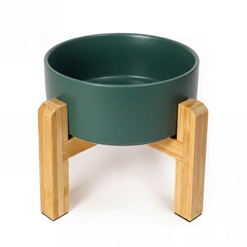 Ceramic Elevated Dog Bowl with Bamboo Stand (Medium / Green)