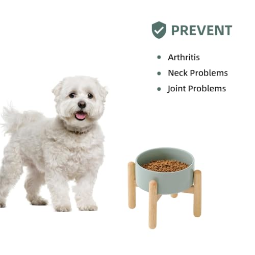 Ceramic Dog Bowls Elevated (Light Green)
