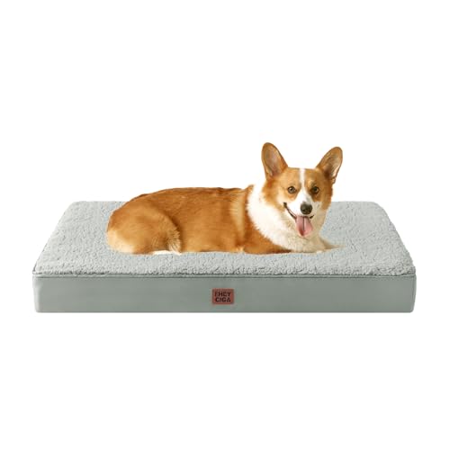 Orthopedic Dog Bed Large with Removable Washable Cover (35*23*3.5 inches / Greyish Green)