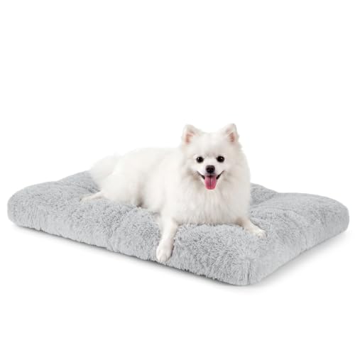 Dog Bed Crate Pad (23.0"L x 18.0"W x 3.0"Th / Light Grey)