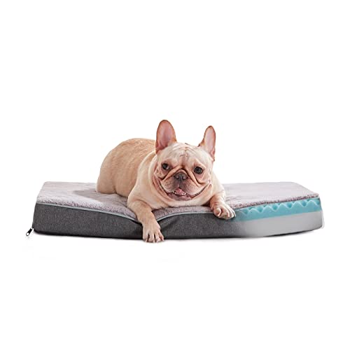 Medium Dog Beds for Medium Dogs (Purple Grey / Medium-29"x 18" x 3")