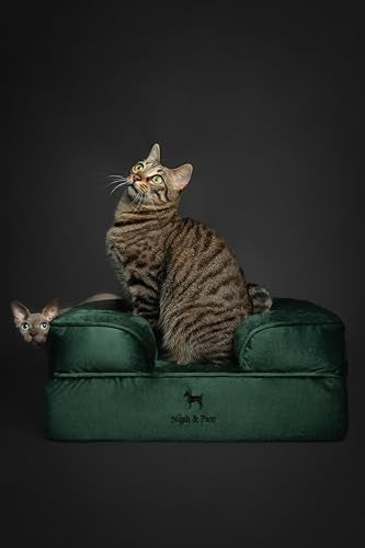 Small Dog Bed (Velvet - Dark Green / Small)