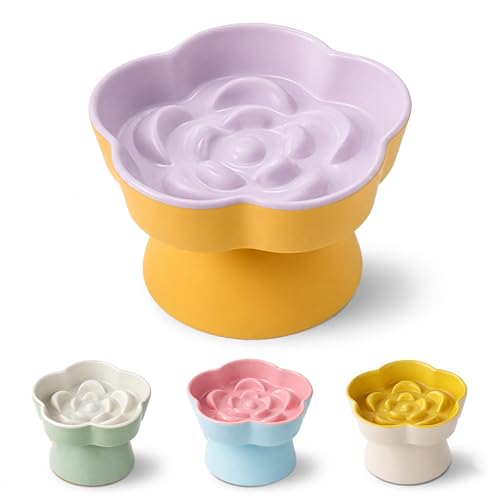 Ceramic Elevated Slow Feeder Cat Bowl (Yellow/Purple)