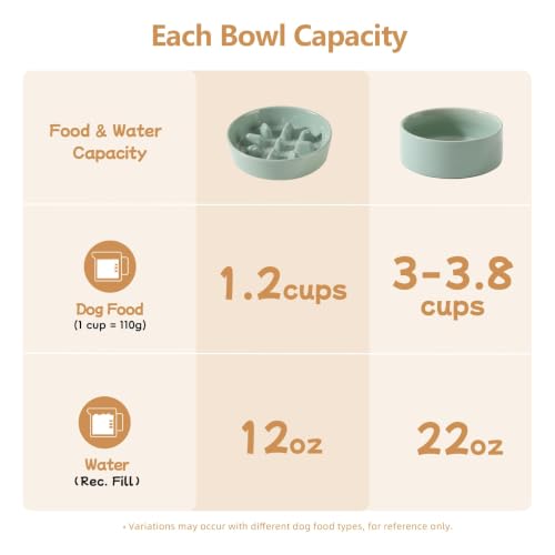 Elevated Slow Feeder Dog Bowls (Light Green)