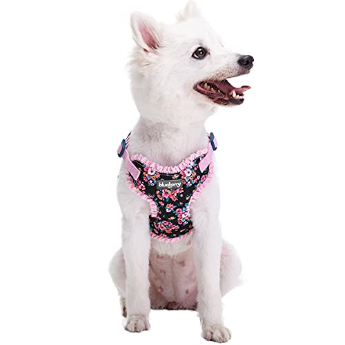 Soft & Comfy Made Well Elegant Floral No Pull Mesh Dog Harness Vest in Sleek Black ((17.5" - 21") Chest Girth (Pack of 1) / Sleek Black)