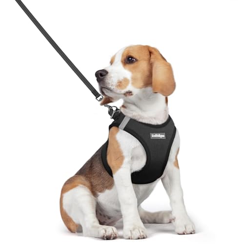 Dog Harness Medium Sized and Leash Set (Black / L (chest: 18.2 - 20.5"))