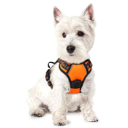 Dog Harness No Pull with 2 Leash Clips (X-Small / Orange)