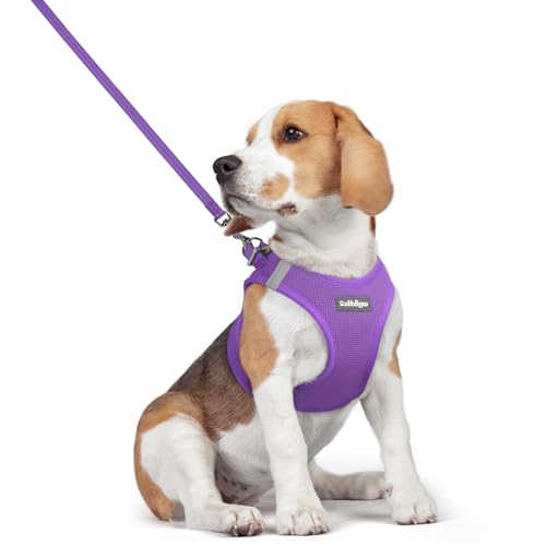 Dog Harness Medium Sized and Leash Set (Purple / L (chest: 18.2 - 20.5"))
