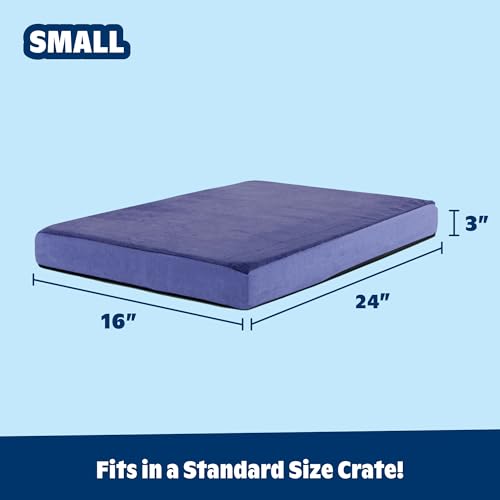 Orthopedic Dog Bed (Navy / Small)