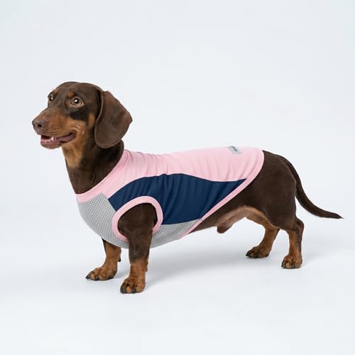 2 Pack UPF 50+ UV Sun Protection Dog Shirt (X-Small / Rose Red-Pink)