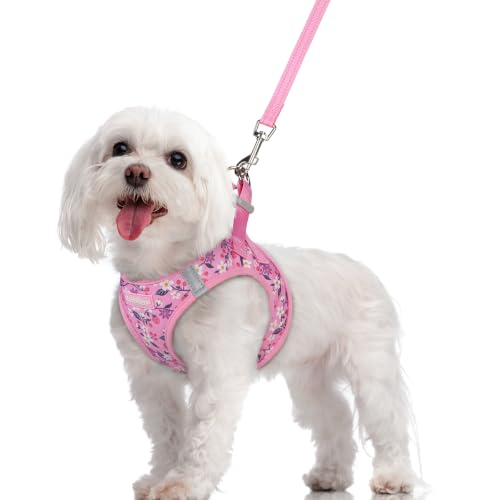 Dog Harness Medium Sized and Leash Set (Pink Floral / M (chest: 16 - 18.5"))