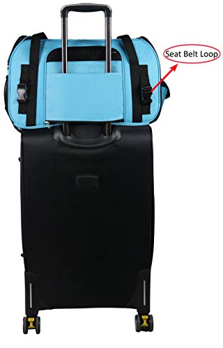 Soft Sided Pet Carrier for Cats & Small Dogs (21.0"L x 12.0"W x 13.0"H / Sky Blue)