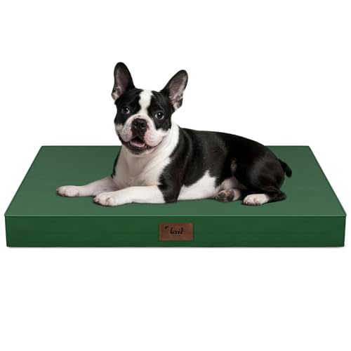 Orthopedic Waterproof Dog Bed for Small Dogs and Cats (Dark Green / 29.0"L x 18.0"W x 3.0"Th)