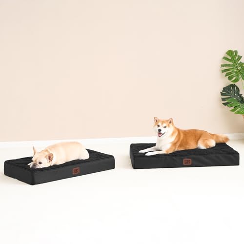 Orthopedic Dog Bed Large with Removable Washable Cover (44*32*3.5 inches / Black)