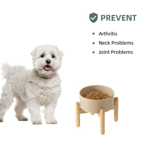 Ceramic Dog Bowls Elevated (Greige)
