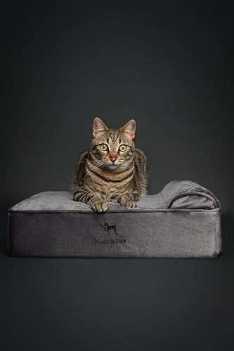Small Dog Bed (Velvet - Grey / Small)