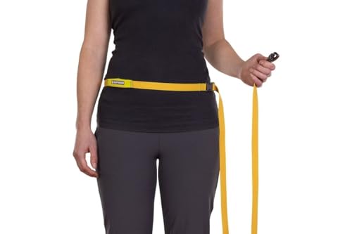 Flagline Dog Leash (Lichen Green / One Size)
