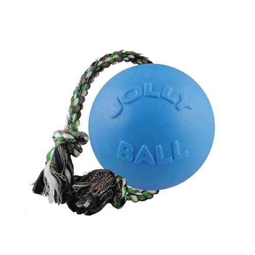 Romp-n-Roll Dog Toy, Orange, 6", Model Number: 788169060645 (Orange / Medium (6 in))