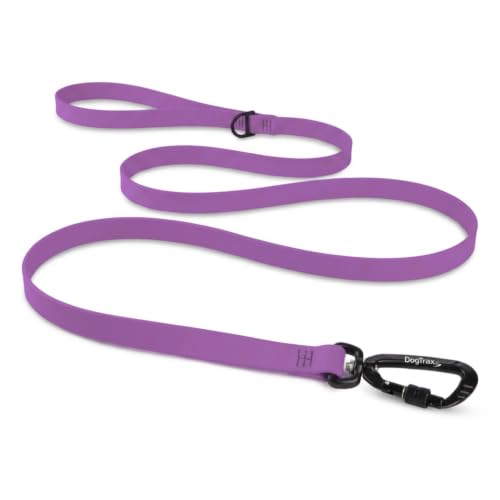 Essential Biothane Dog Leash (Amethyst Purple / 3/4 In x 5 Feet)