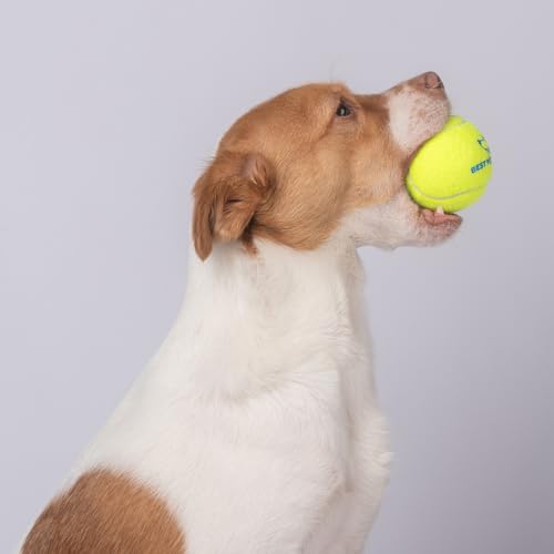 Interactive Squeaky Dog Chew Toy (Tennis (Yellow) / Small)
