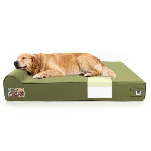 Orthopedic Dog Beds for Extra Large Dogs (XX-Large / Canvas-Green)