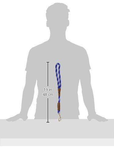 Traffic Leash (16 in / Sapphire)