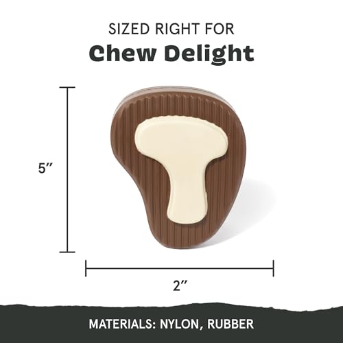 Mr. T Bone Super Chewer (Medium/Large / Mr. T-Bone)