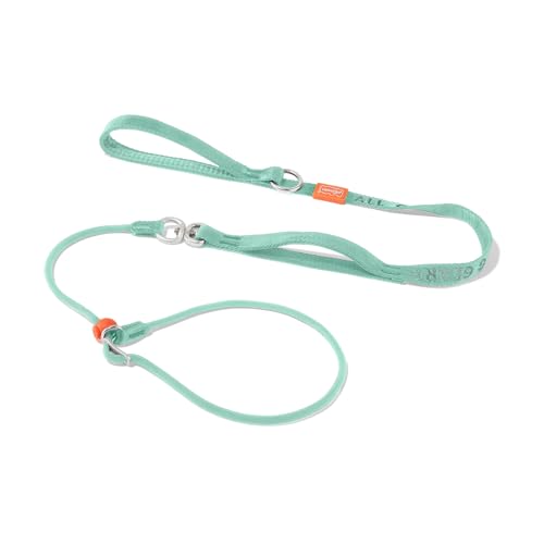 Slip Lead Dog Leash (MintGreen / 5.5FT)
