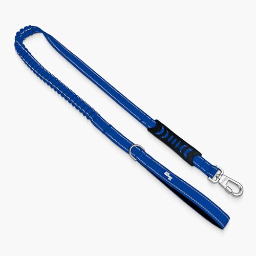 Bungee Dog Leash Shock Absorbing (Classic Blue / Small)