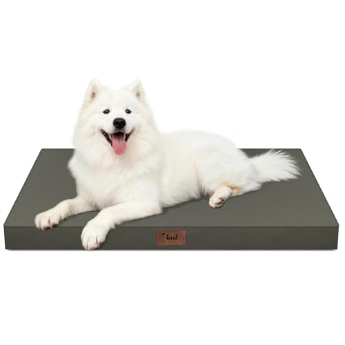 Large Waterproof Orthopedic Dog Bed with Egg Crate Foam (Brown / 41.0"L x 27.0"W x 3.5"Th)