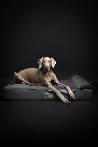 XL Dog Bed 45x35x9.1 Inch (Vegan Leather - Charcoal / X-Large)