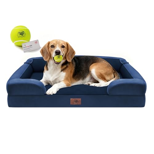 Waterproof Orthopedic Dog Bed for Medium Large Sized Dogs (36 x 27 x 7.5 in / Royal Blue)