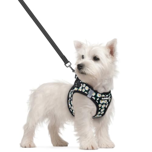 Dog Harness Small Sized and Leash Set (Midnight Daisy / S (chest: 15.1 - 16.5"))
