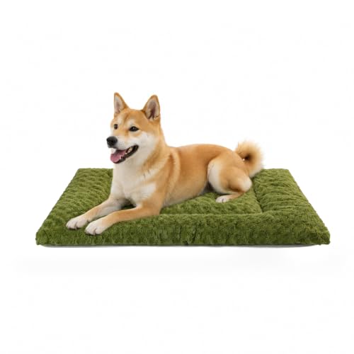 Washable Dog Bed Mat Medium Size Fluffy Pet Crate Pad 36x23 (Green / 36.00" x 23.00" x 1.50")
