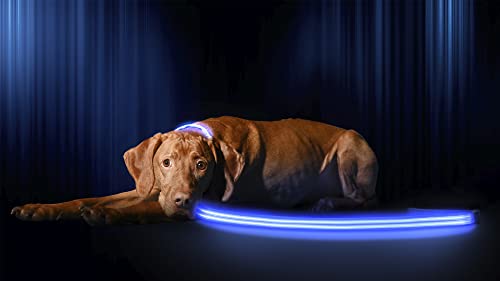 LED Light Up Dog Leash (4 Feet / Royal Blue)