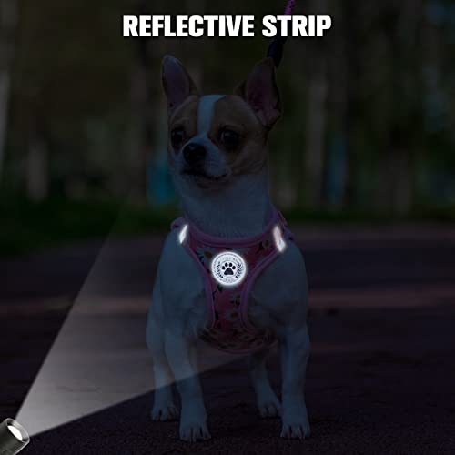 Small Dog Harness and Leash Set (Small(Chest Girth 14.5" - 16") / Pink Daisy)